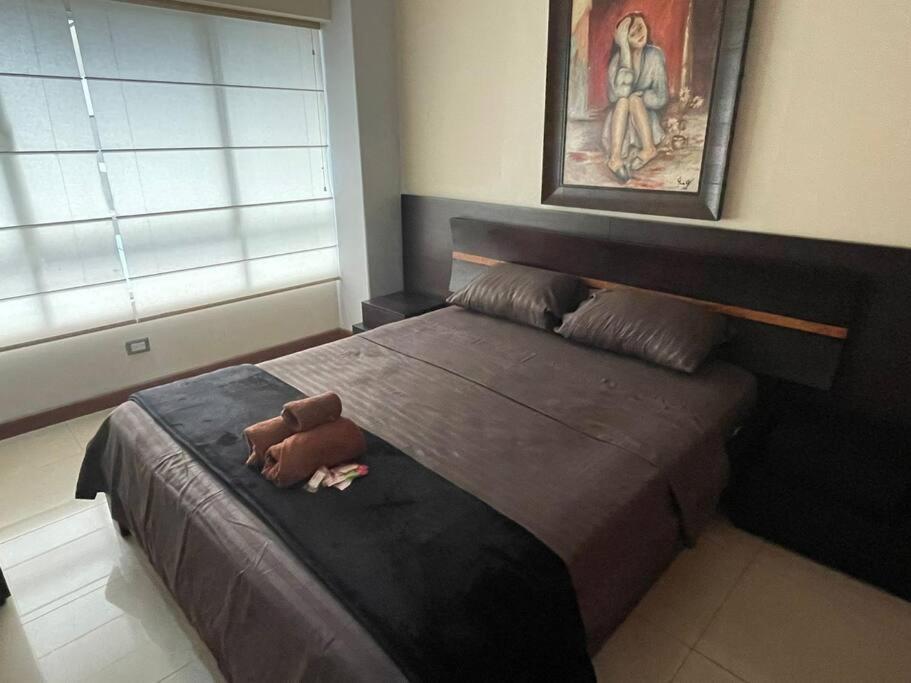 קיטו Suite 211 מראה חיצוני תמונה